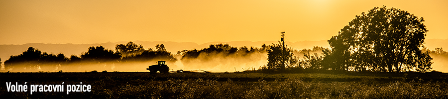 volne-pozice