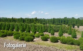 Fotogalerie - Obrzek